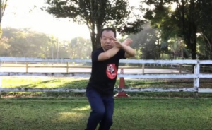 Tai Chi Chen Style 38 Form